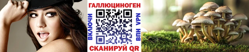Купить  Кстово  Псилоцибиновые грибы Psilocybe 